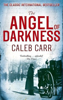 Cover The Angel of Darkness (eBook, ePUB)