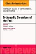 Orthopedic Disorders of the Foal, An... - Bild 1