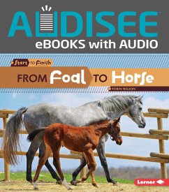 From Foal to Horse (eBook, ePUB) - Nelson, Robin