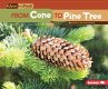 From Cone to Pine Tree (eBook, ePUB) - Bild 1