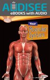 Your Muscular System (eBook, ePUB) Your Muscular System (eBook, ePUB)