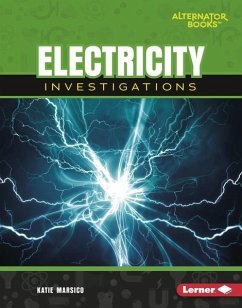 Cover Electricity Investigations (eBook, ePUB)