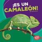 ¡Es un camaleón! (It's a Chameleon!) (eBook, ePUB)