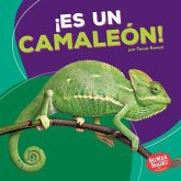 ¡Es un camaleón! (It's a Chameleon!) (eBook, ePUB) ¡Es un camaleón! (It's a Chameleon!) (eBook, ePUB)