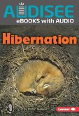 Hibernation (eBook, ePUB)