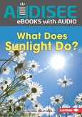 What Does Sunlight Do? (eBook, ePUB)