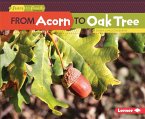 From Acorn to Oak Tree (eBook, ePUB)