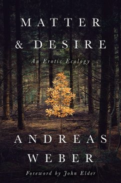 Matter and Desire (eBook, ePUB) - Weber, Andreas