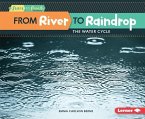 From River to Raindrop (eBook, ePUB)