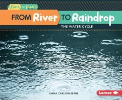 From River to Raindrop (eBook, ePUB) - Carlson-Berne, Emma