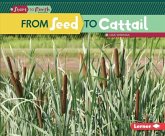From Seed to Cattail (eBook, ePUB) From Seed to Cattail (eBook, ePUB)