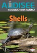 Shells (eBook, ePUB) - Bild 1