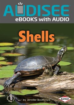 Shells (eBook, ePUB) - Boothroyd, Jennifer