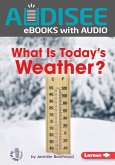 What Is Today's Weather? (eBook, ePUB)