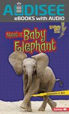 Meet a Baby Elephant (eBook, ePUB)