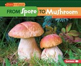 From Spore to Mushroom (eBook, ePUB)