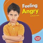Feeling Angry (eBook, ePUB)