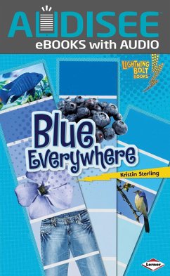 Cover Blue Everywhere (eBook, ePUB)