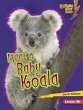 Meet a Baby Koala (eBook, ePUB) - Bild 1