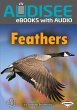 Feathers (eBook, ePUB) - Bild 1