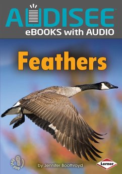 Feathers (eBook, ePUB) - Boothroyd, Jennifer