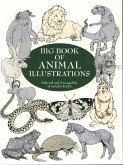 Big Book of Animal Illustrations (eBook, ePUB)