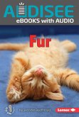 Fur (eBook, ePUB)