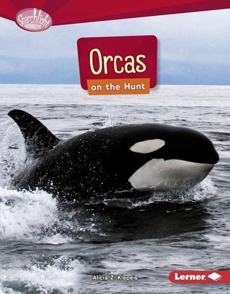 Orcas on the Hunt (eBook, ePUB)