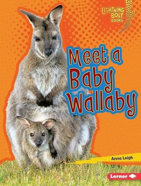 Meet a Baby Wallaby (eBook, ePUB)