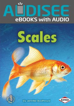 Scales (eBook, ePUB) - Boothroyd, Jennifer