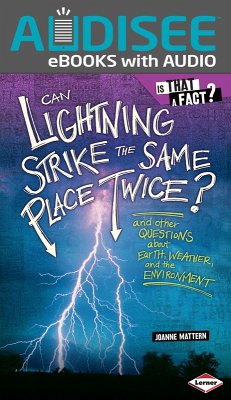 Can Lightning Strike the Same Place Twice? (eBook, ePUB) - Mattern, Joanne