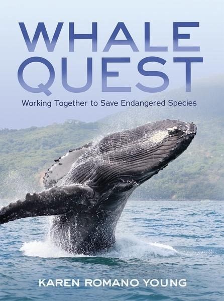 Whale Quest (eBook, ePUB)