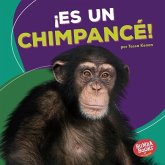 ¡Es un chimpancé! (It's a Chimpanzee!) (eBook, ePUB) ¡Es un chimpancé! (It's a Chimpanzee!) (eBook, ePUB)