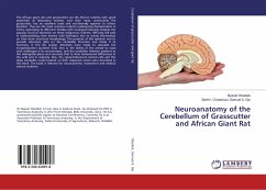 Neuroanatomy of the Cerebellum of Grasscutter and African Giant Rat - Obadiah, Byanet;Samuel A. Ojo, Barth I. Onyeanusi,