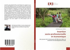 Insertion socio-professionnelle et économique - SYNDOU, Koffi Mohamed