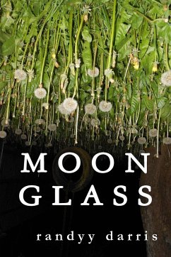 Moon Glass - Darris, Randyy