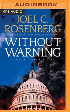 Without Warning - Rosenberg, Joel C