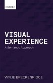 Visual Experience: A Semantic Approach
