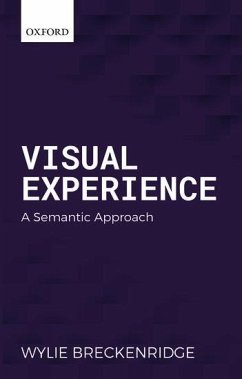 Visual Experience - Breckenridge, Wylie