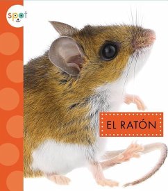 El Ratón - Storm, Marysa