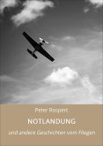 NOTLANDUNG (eBook, ePUB)