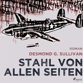 Stahl von allen Seiten - Fliegergeschichten 6 (Ungekürzt) (MP3-Download)