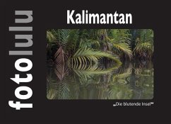 Kalimantan (eBook, ePUB)