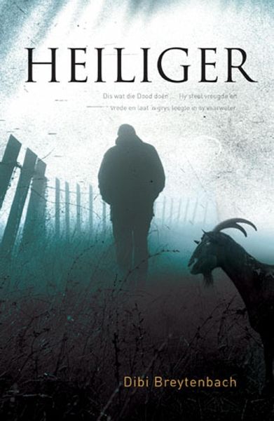 Heiliger (eBook, ePUB)