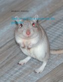 Tout ce qu'il faut savoir sur les gerbilles (eBook, ePUB) Tout ce qu'il faut savoir sur les gerbilles (eBook, ePUB)