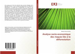 Analyse socio-economique des risques liés à la déforestation - Fortuné André, Belahy