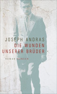 Die Wunden unserer Brüder (eBook, ePUB) - Andras, Joseph