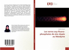 Les verres oxy-fluoro-phosphates de zinc dopés au Néodyme - Amrouch, Samah