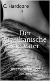 Der brasilianische Stiefvater (eBook, ePUB)