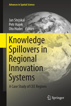 Knowledge Spillovers in Regional Innovation Systems